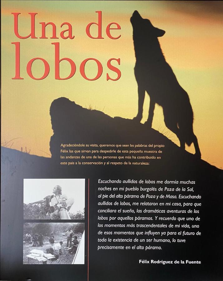 Poza de la SalCasa Salionca别墅 外观 照片